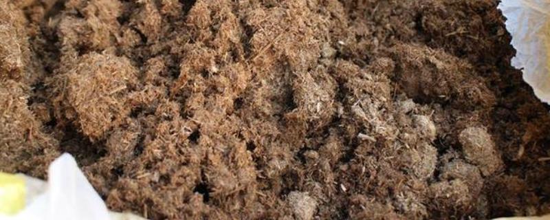 马粪可以直接当肥料吗，如何做成有机肥