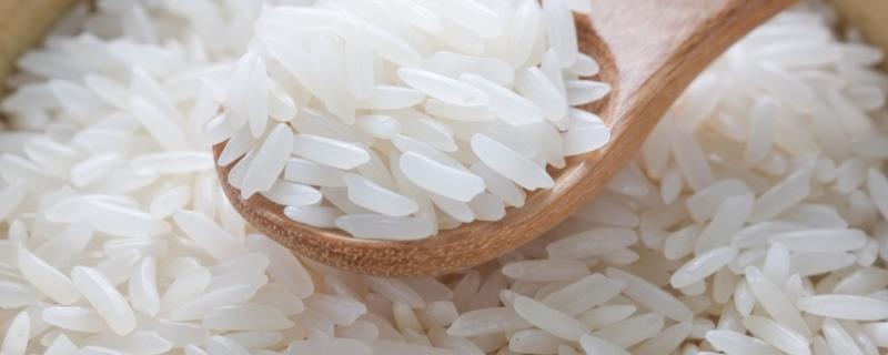 水稻品质指标有哪些，水稻质量国家标准
