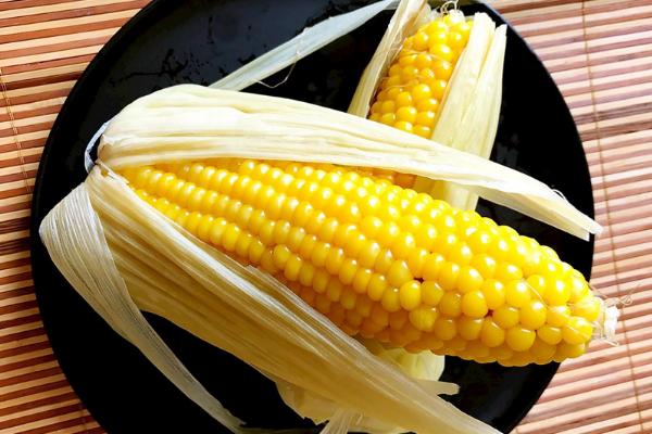 德单180玉米品种介绍