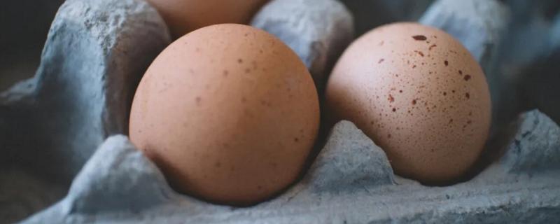 种蛋超过多少天就不能孵化了，种蛋和普通蛋的区别