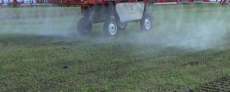 草甘磷与草铵磷有何区别，草甘磷打后多长时间下雨有效