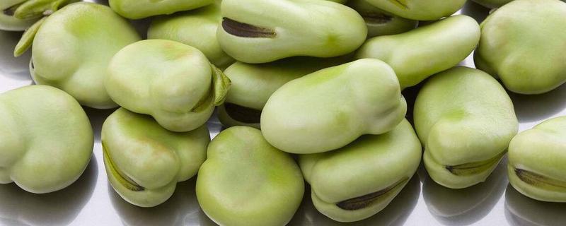 蚕豆是坚果类吗，是酸性食物还是碱性食物