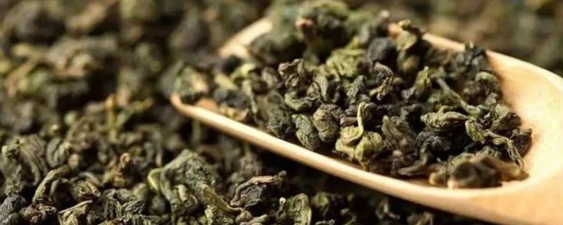 青茶是半发酵茶吗，青茶的泡法