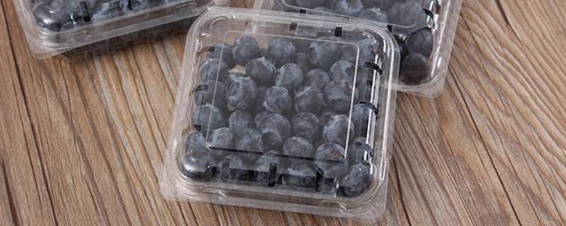 蓝莓如何长期保存，是哪个地方的特产