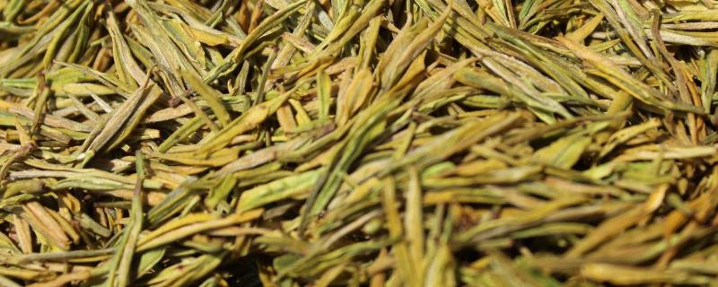 黄茶是什么发酵程度茶，黄茶有哪些品种