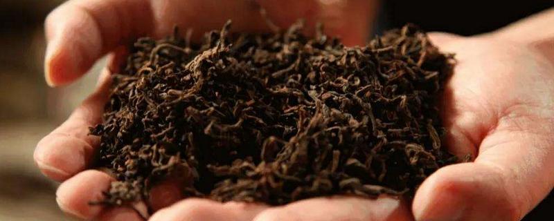 什么是茶叶发酵，附发酵原理