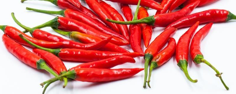辣椒可以种植几年，附辣椒的品种