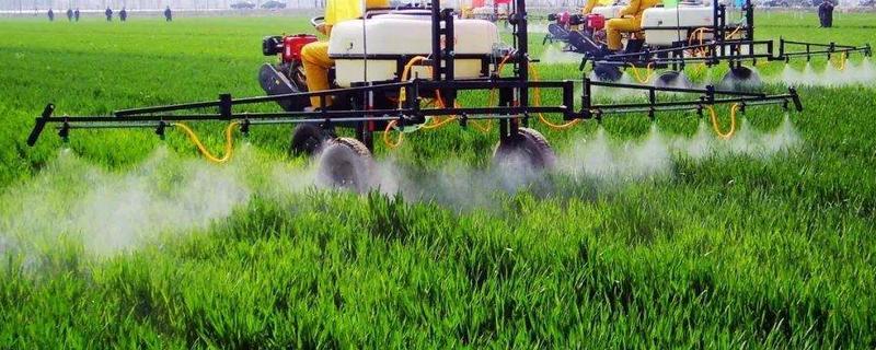 农药除草剂的毒性特点，除草农药有哪些品种
