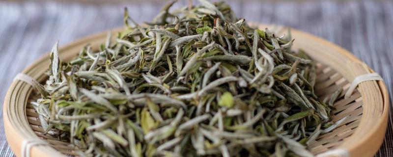 白茶是全发酵茶吗，白茶的产地