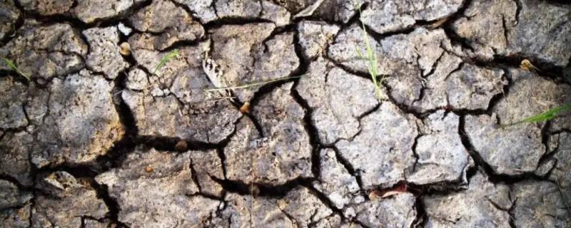 氮肥引起土壤板结，氮肥属于哪种肥料