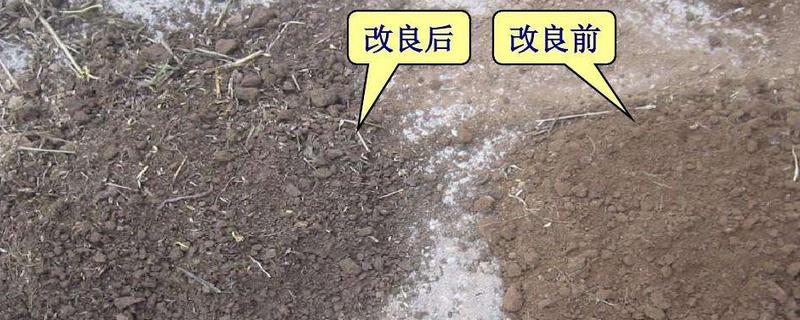 怎样改良土壤,常用的方法有哪些，土壤消毒杀菌用什么