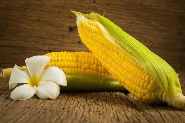 吉农大935玉米种简介，适合哪里种植，产量如何