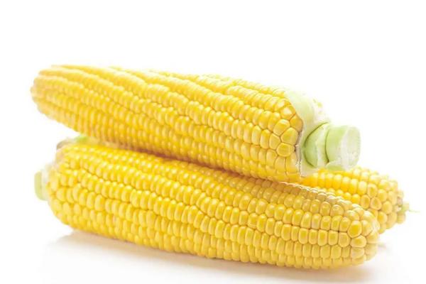 裕丰623玉米种简介，适合哪里种植，产量如何