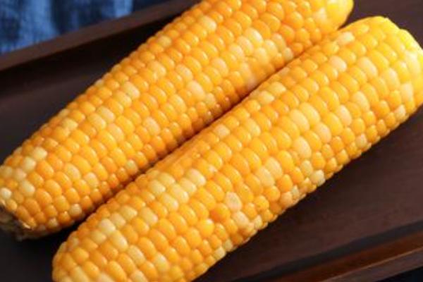 青农11玉米种简介，适合哪里种植，产量如何