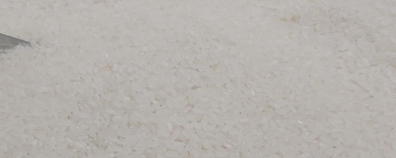 籼米适宜的种植海拔上限，籼米和粳米有什么区别