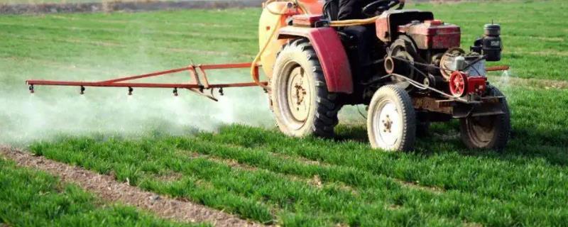 麦田除草剂和磷酸二氢钾能混用吗，除草剂的残留期有多长