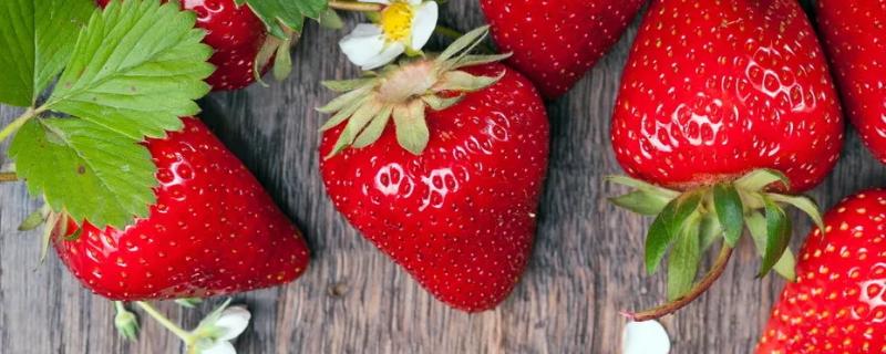 草莓是不是要打很多药，草莓种植方法