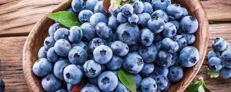 蓝莓上的白霜有什么作用，吃之前需要洗掉吗