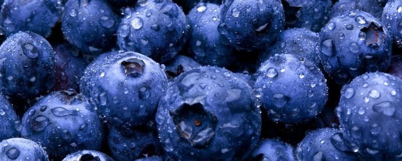 蓝莓需不需要洗，蓝莓保存方法