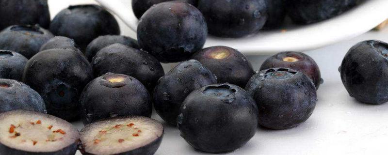 蓝莓与黑枸杞的区别在哪里，蓝莓保存期限是多久