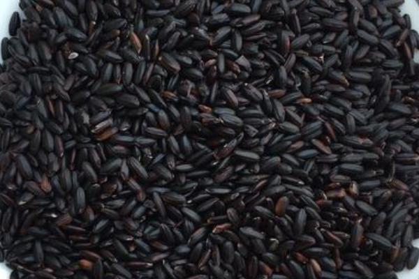 黑米的种植历史有多久，黑米和红米的区别