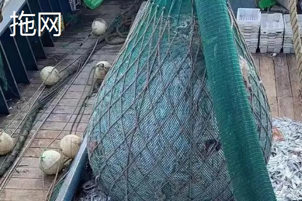 渔网与鱼网的区别