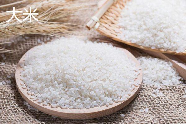 水稻和大米的区别