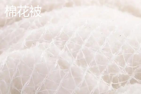 丝绵被和棉花被区别，哪种更健康保暖
