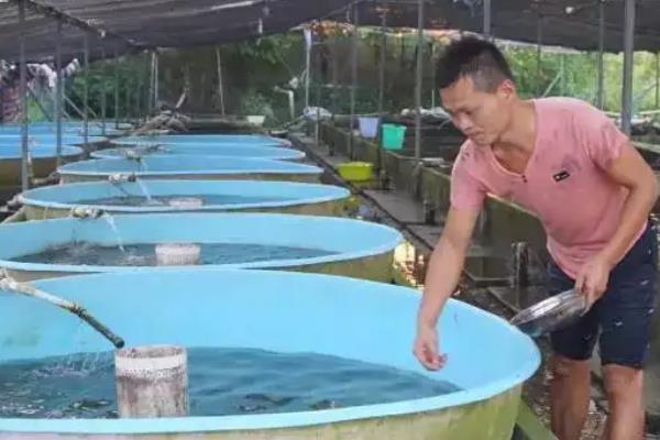 人工鲟鱼养殖技术，对水质有什么要求