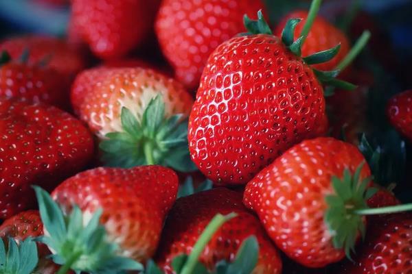草莓催熟最快方法，附种植方法