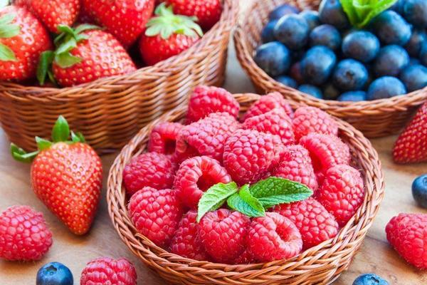树莓和草莓有什么区别