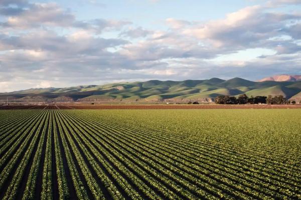 澳大利亚农业特点，主要的农产品是什么