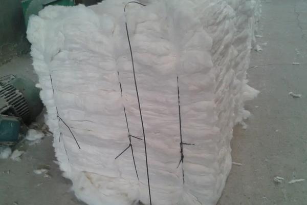棉花加工步骤有哪些，棉花的生育期