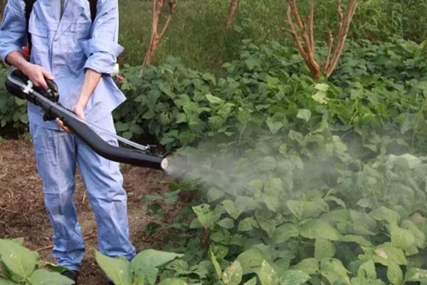 过量使用化肥农药有什么危害，农药污染的危害有哪些