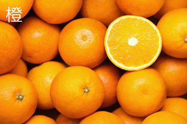 柑桔橙柚的区别