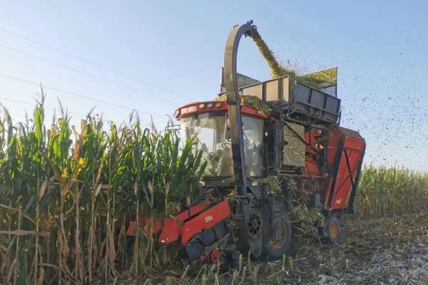 玉米收割机操作正确方法，一天可以收多少亩