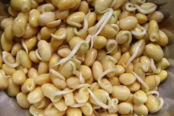 大豆每亩播种多少斤，附大豆的种植方法