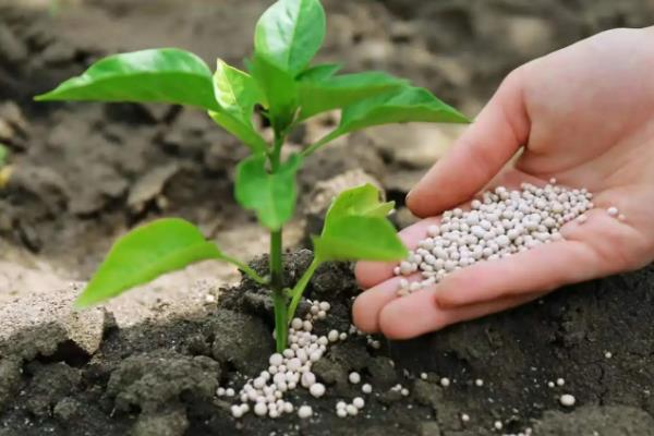 农业生产中测土配方施肥对化肥使用量有何影响，化肥使用过多有什么危害