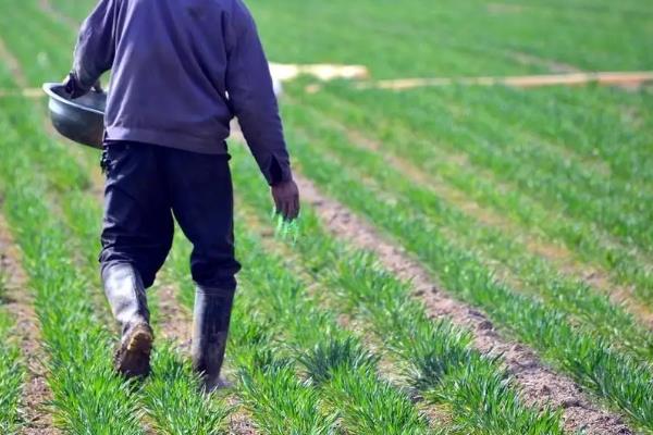 农业生产中测土配方施肥对化肥使用量有何影响，化肥使用过多有什么危害