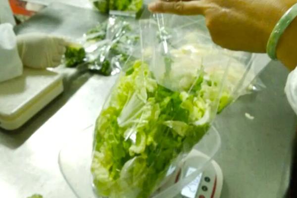 一亩白菜能产多少公斤，附种植方法