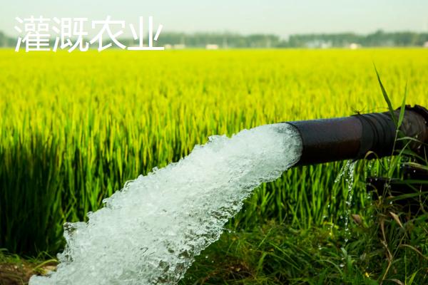 灌溉农业和绿洲农业的区别