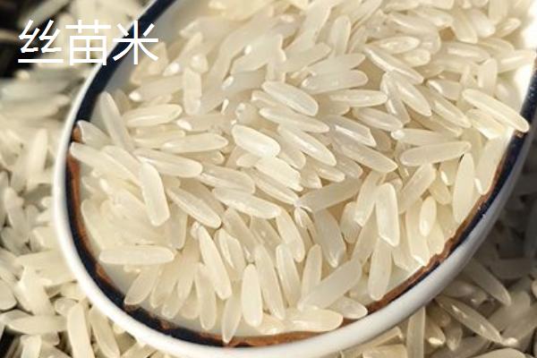 丝苗米和香米的区别，哪个糯性好更好吃