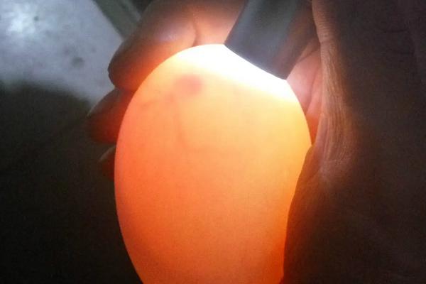 孵鹅蛋的步骤，孵鹅蛋温度和湿度是多少?