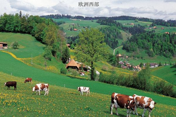 欧洲西部农业图片