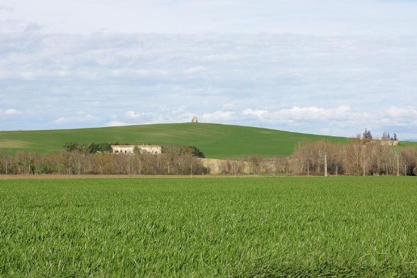 法国小麦产区分布在什么地区