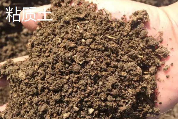 砂质土与黏质土的肥力特点有何不同?如何改良土壤质地?