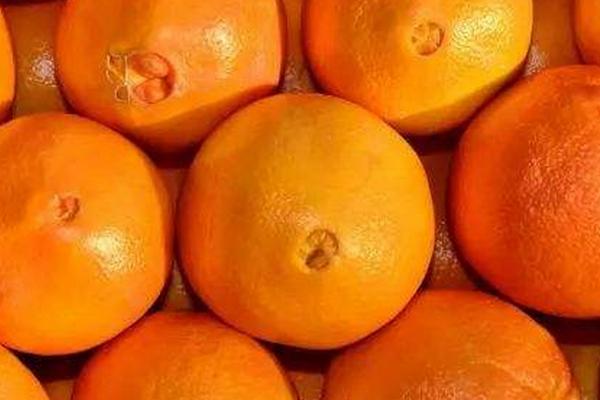 橙子优质丰产的条件，橙子如何挑选