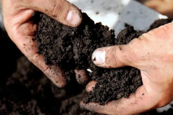 大面积土壤杀菌方法，土壤杀菌剂怎么正确使用