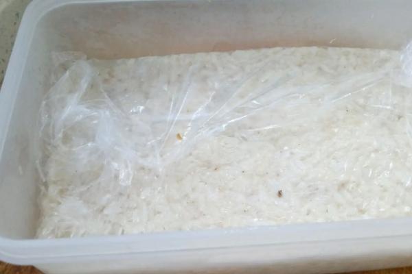 大米长虫怎么办，大米长虫的原因