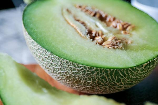 兰考县生产高品质蜜瓜的土壤条件，蜜瓜和哈密瓜是同一品种吗